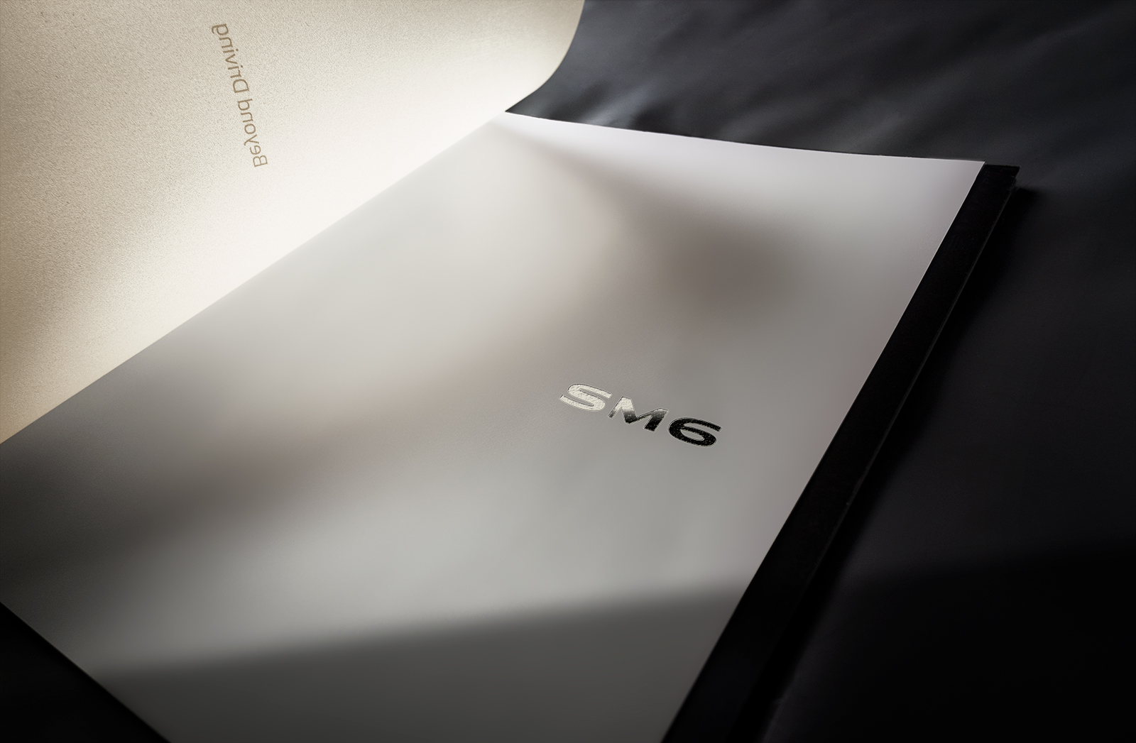 fort no. D9 Renault Samsung Motors SM6 Catalog / FORT NO. D9